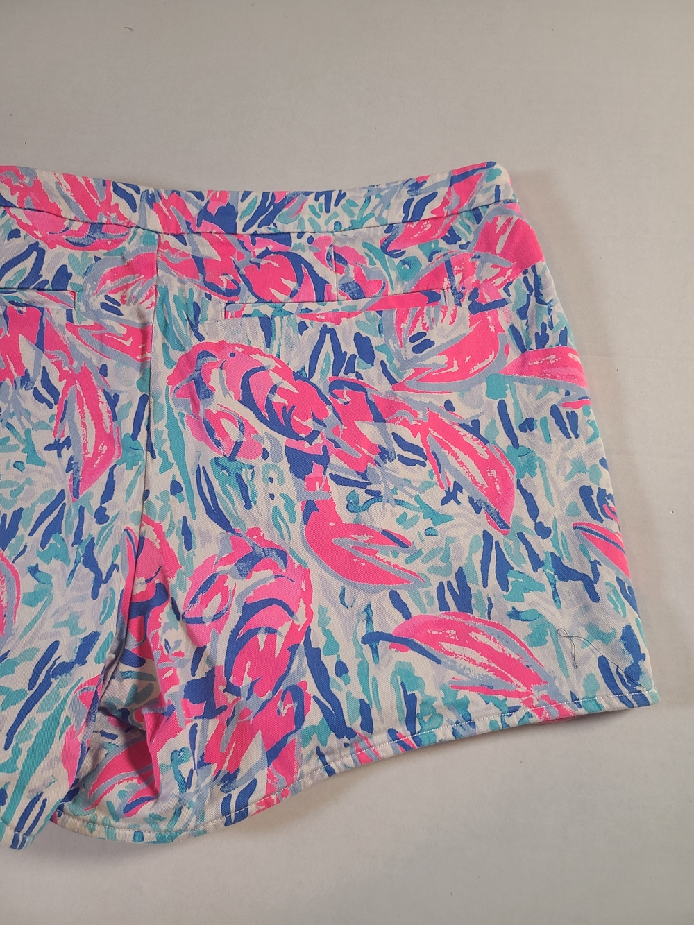 Lilly Pulitzer Womens Shorts Side Zip with Pink Blue Tropical SOLD - Picture 13 of 14